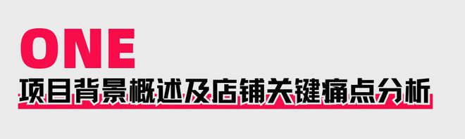 策略助力商家提升店铺层级月销售突破60WAG真人游戏第一品牌火蝠案例 定制营销(图9)