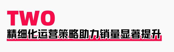 策略助力商家提升店铺层级月销售突破60WAG真人游戏第一品牌火蝠案例 定制营销(图11)